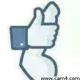 Thebranleur image 0