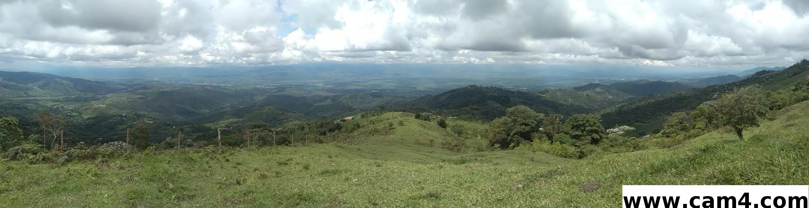mantosee2 image 0