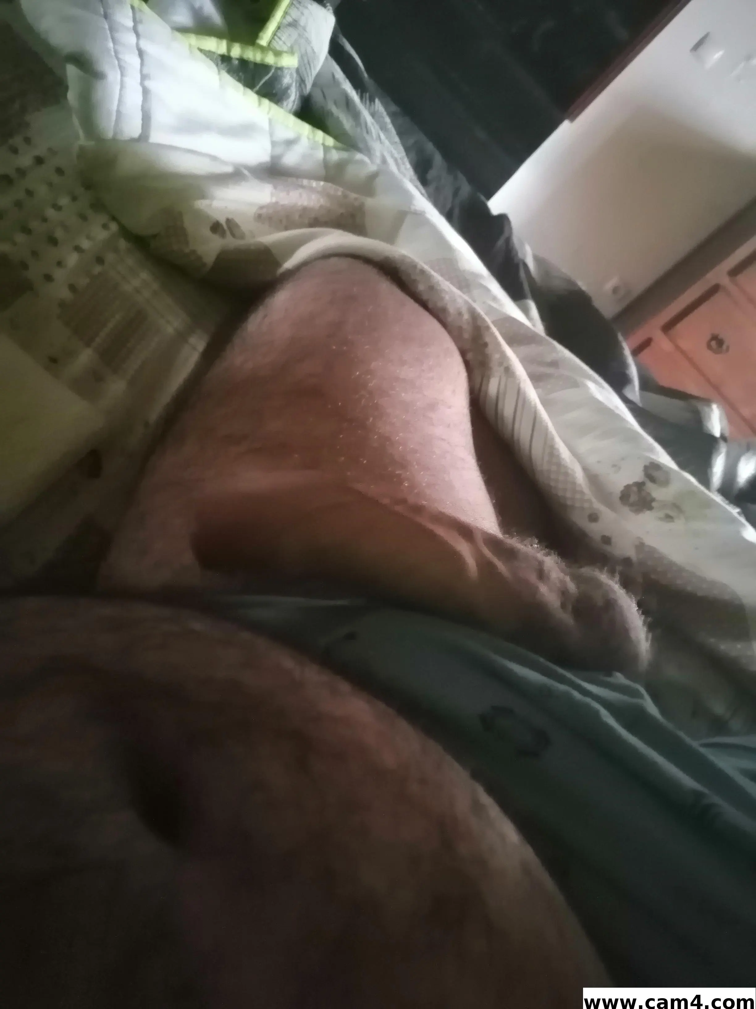 almatuga2 image 0