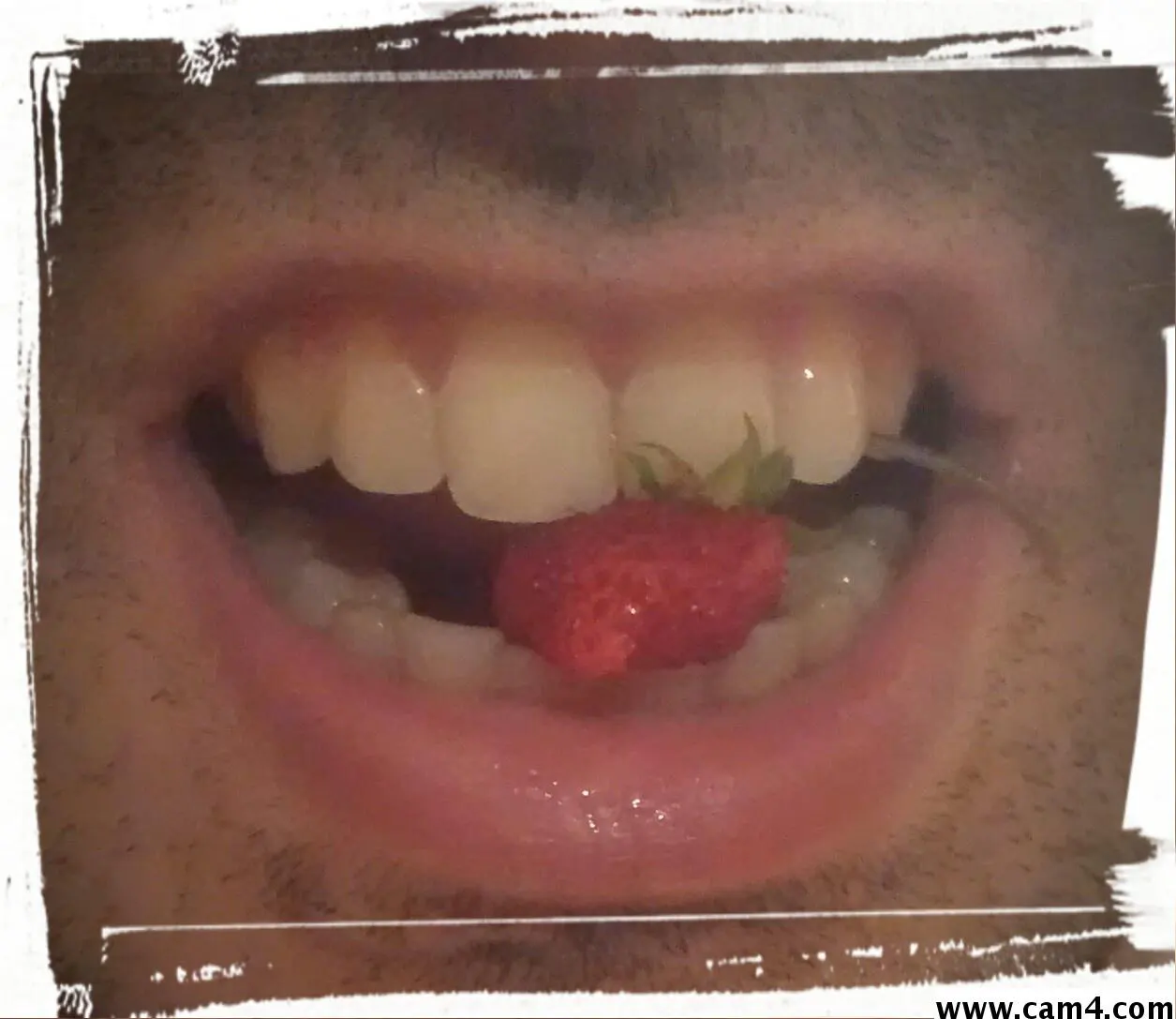 joseddt3 image 0