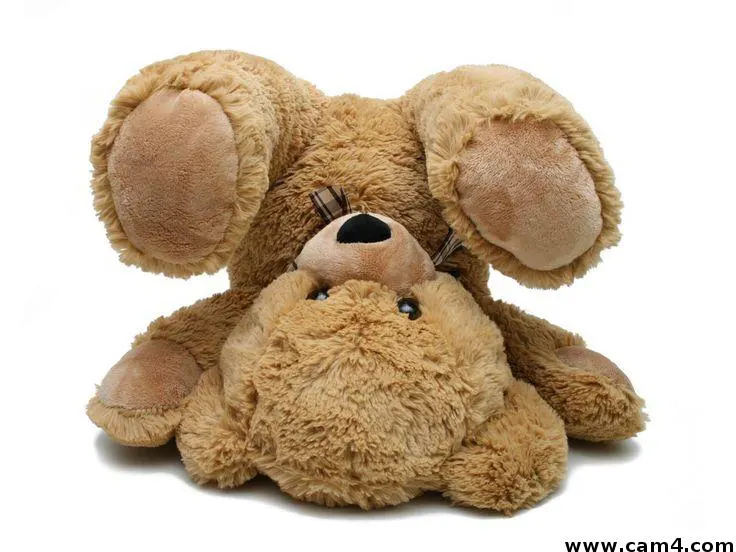 swed1bear image 0