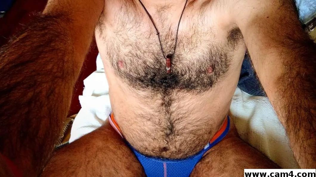 BearSexi image 0