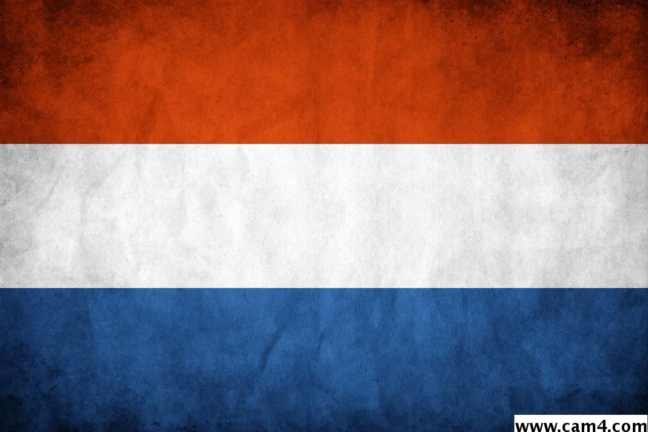dutchbeamer image 0