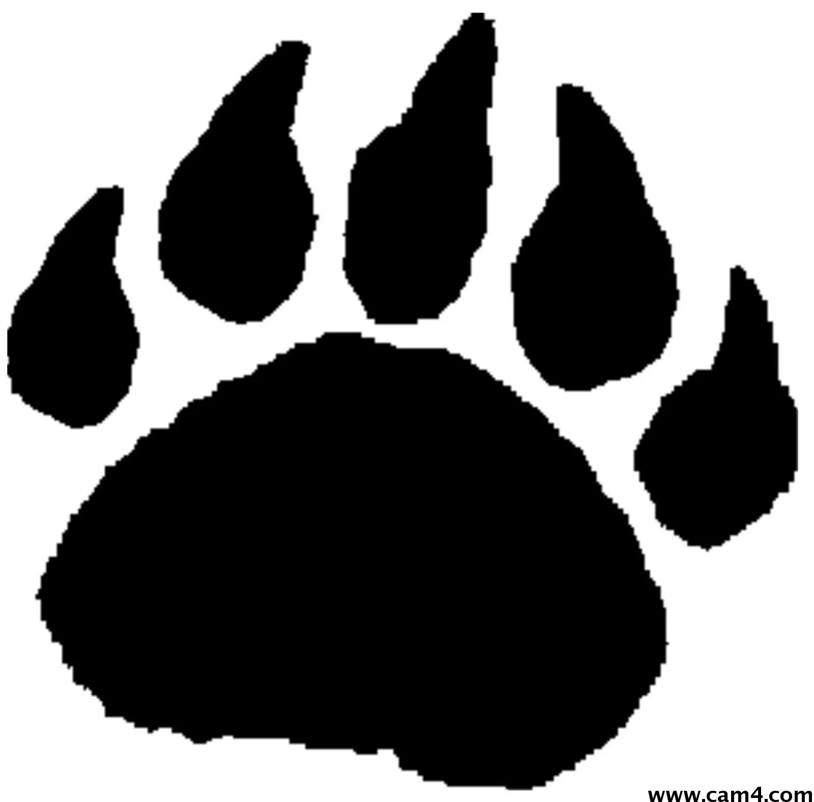 funplayer1 image 0