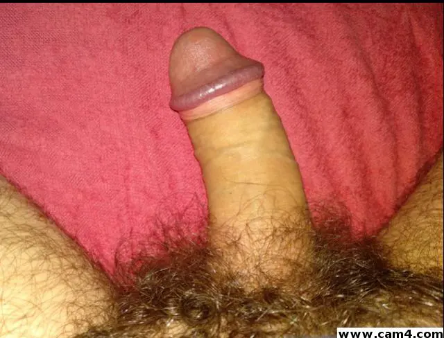 hintenso image 0