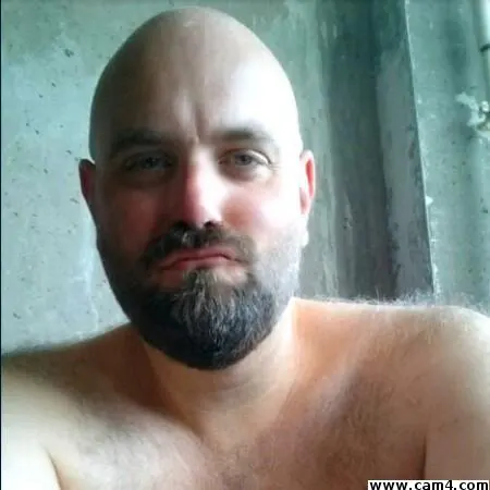 BBbearberlin image 0