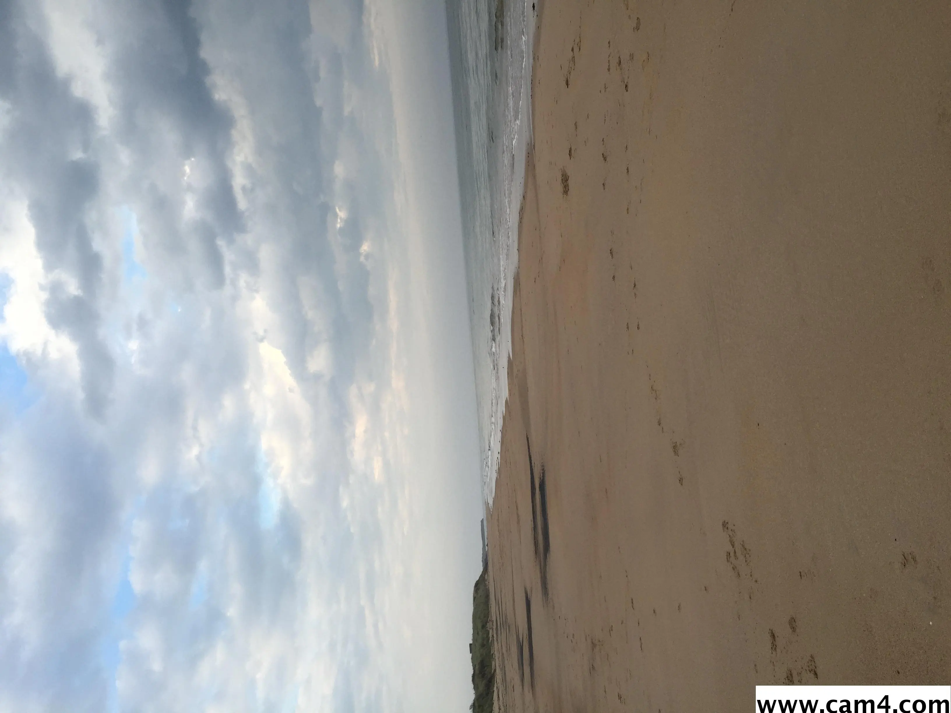 DanNCL image 0