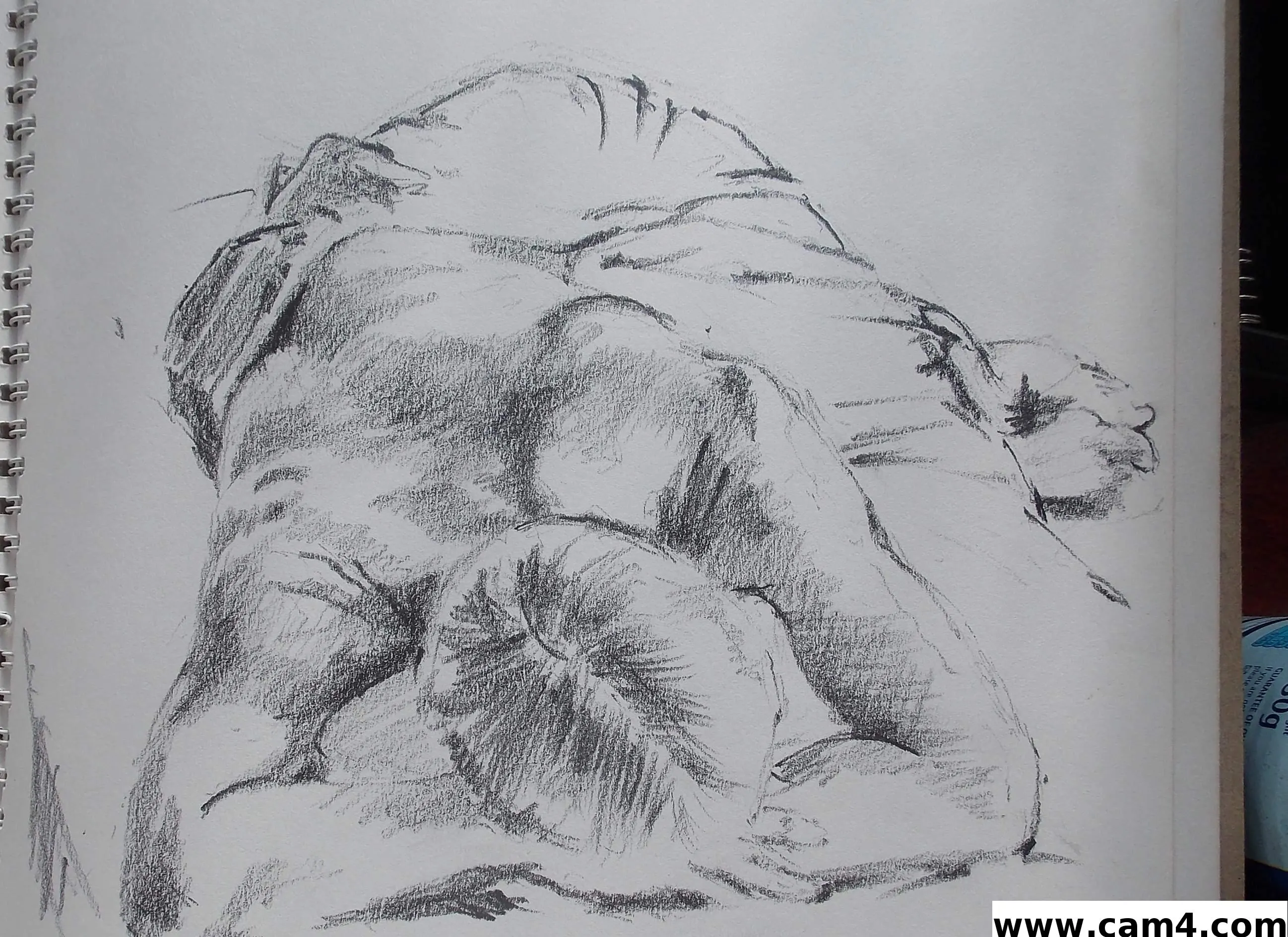 glenbob_1 image 0