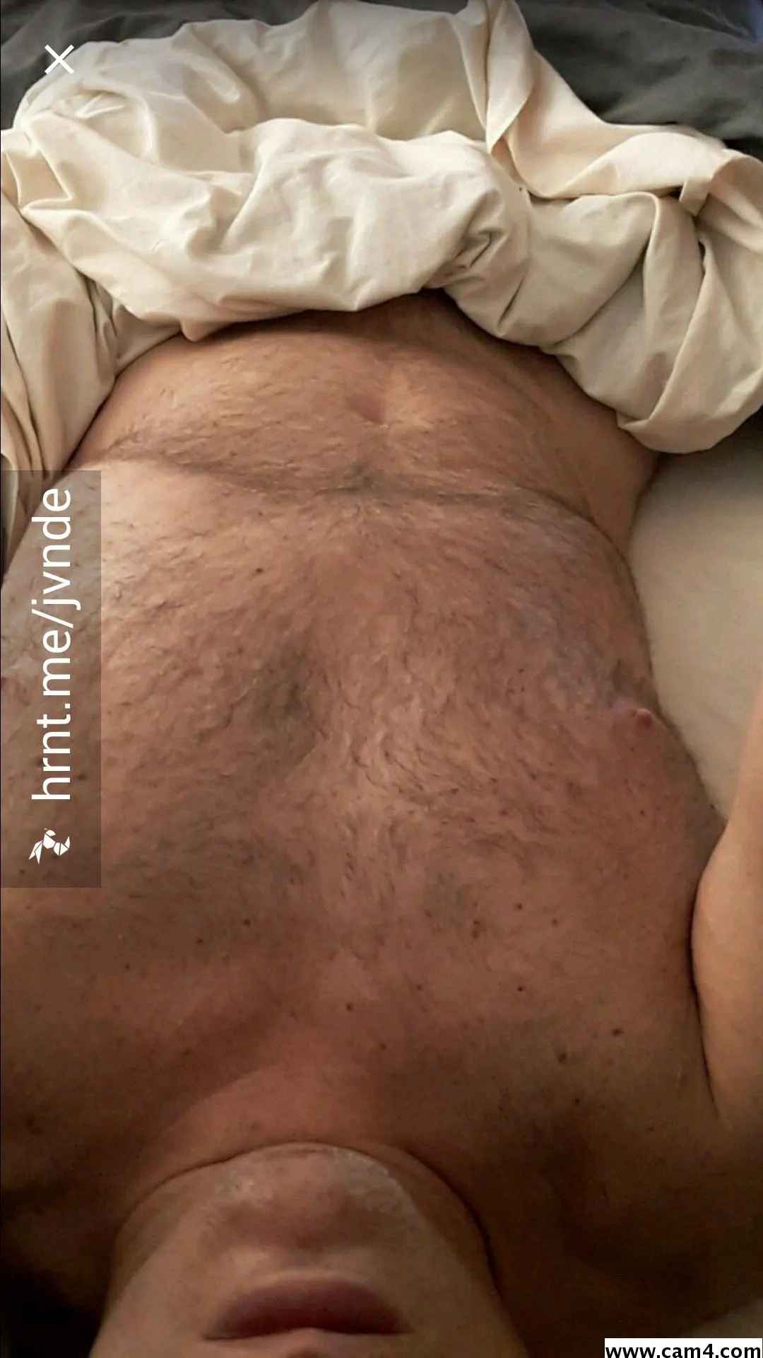 HomoAlpha image 0