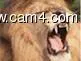 FERABR image 0
