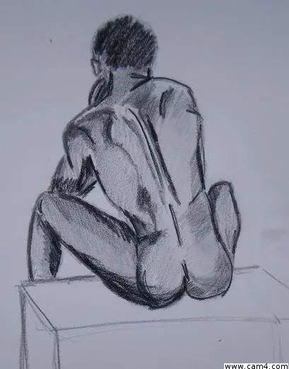 Camsdims image 0