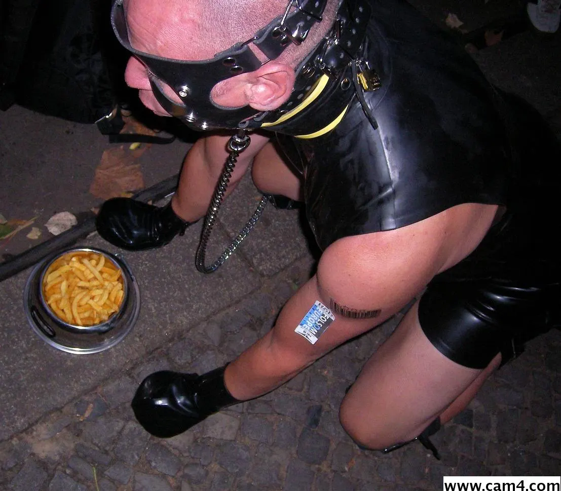 klausdog image 0