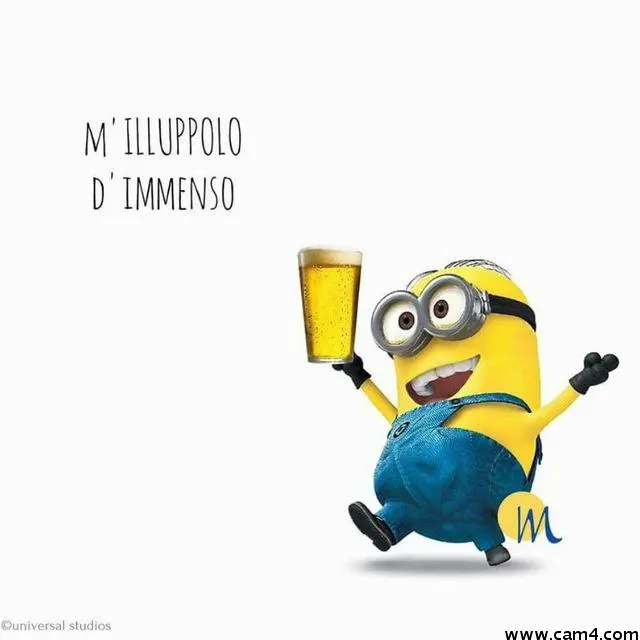 Esperto_fun image 0