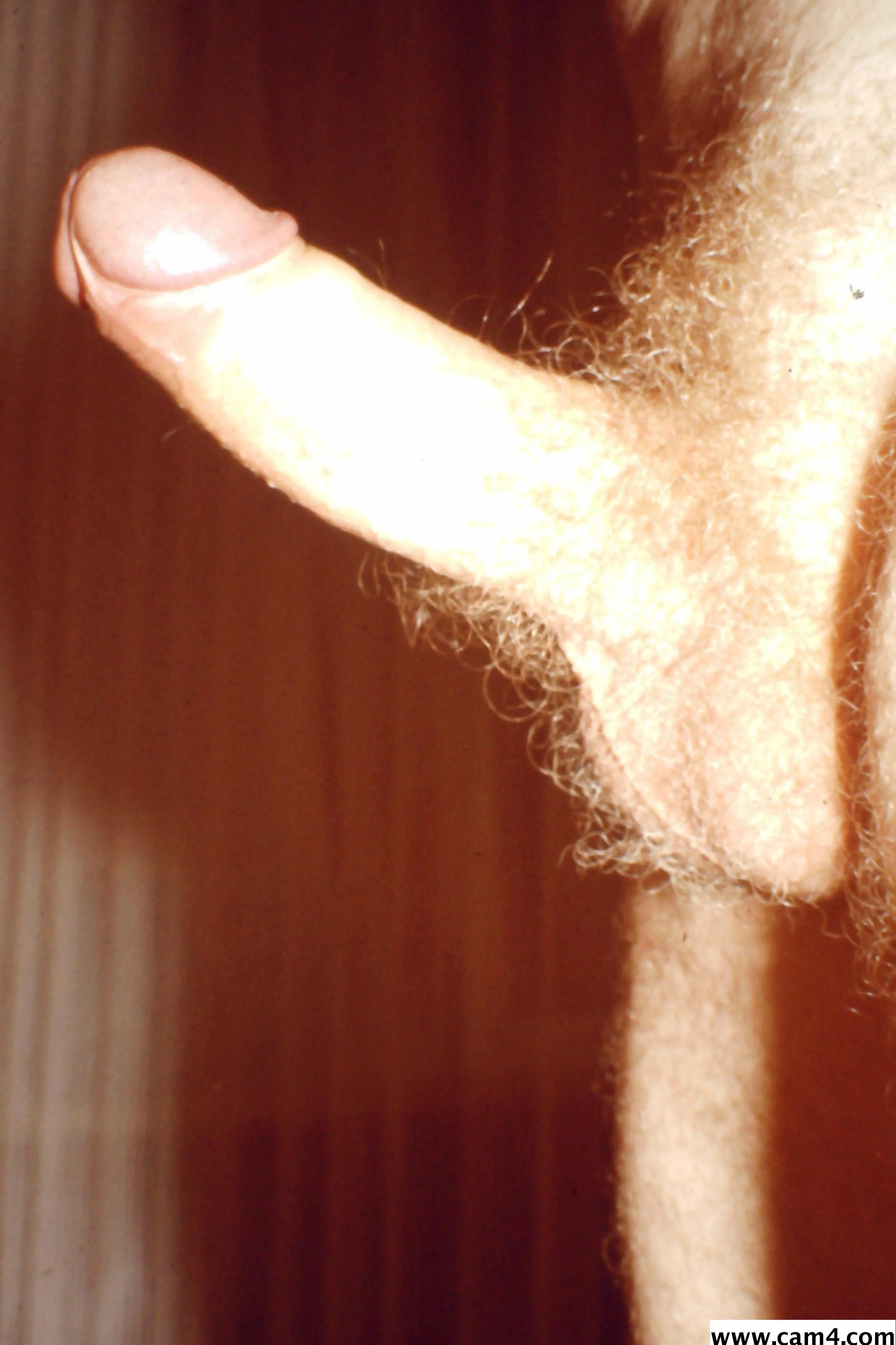 Herbert238 image 0