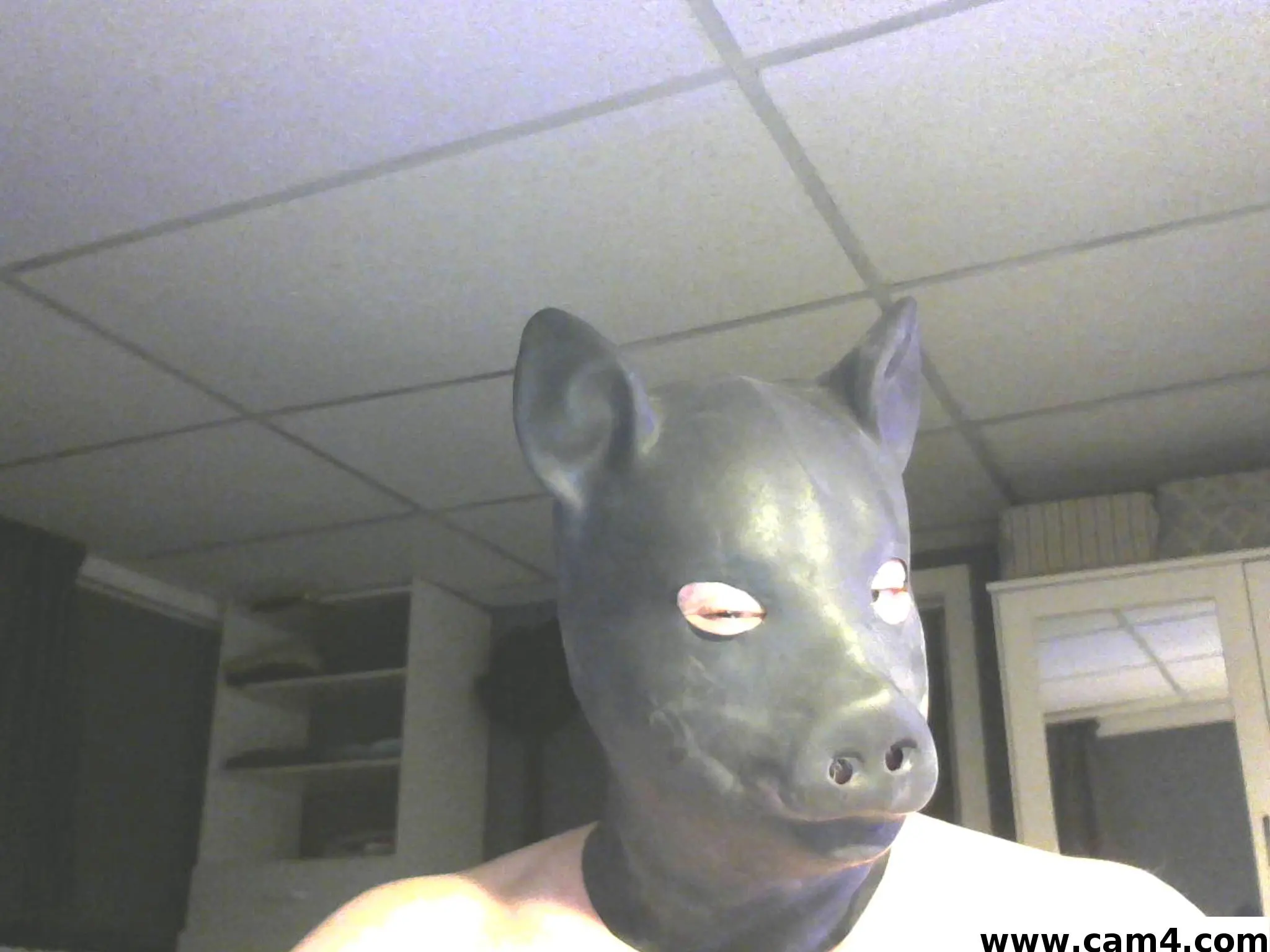 bandedinme image 0