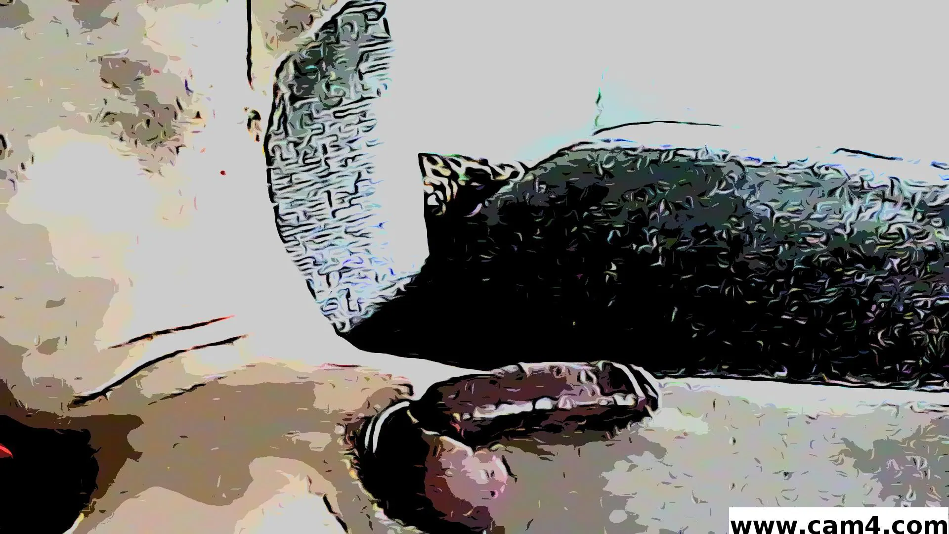 andyfun3 image 0