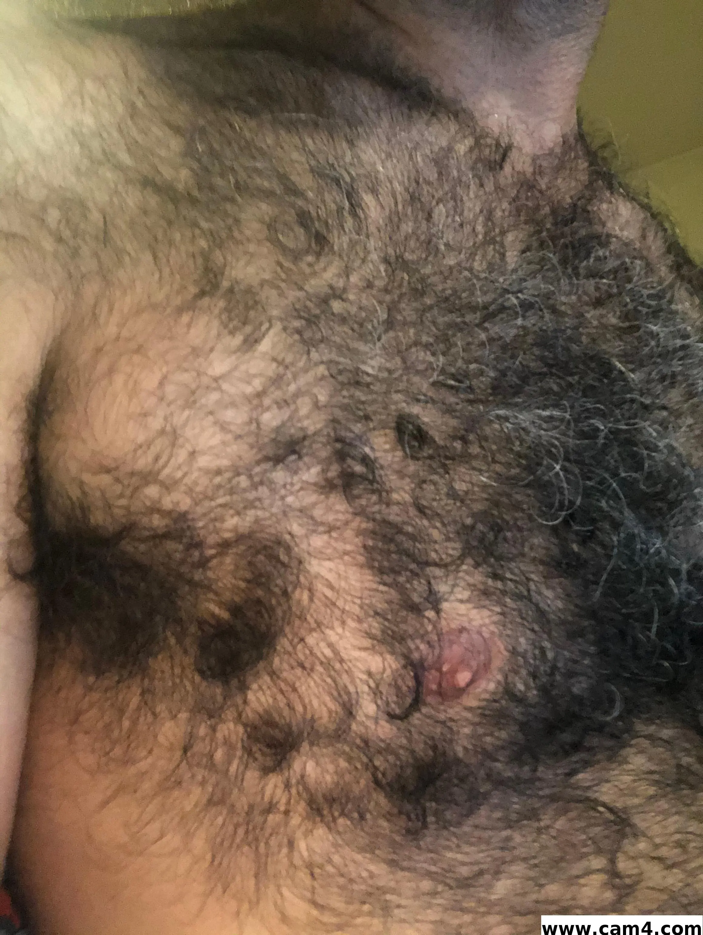 kupae image 0