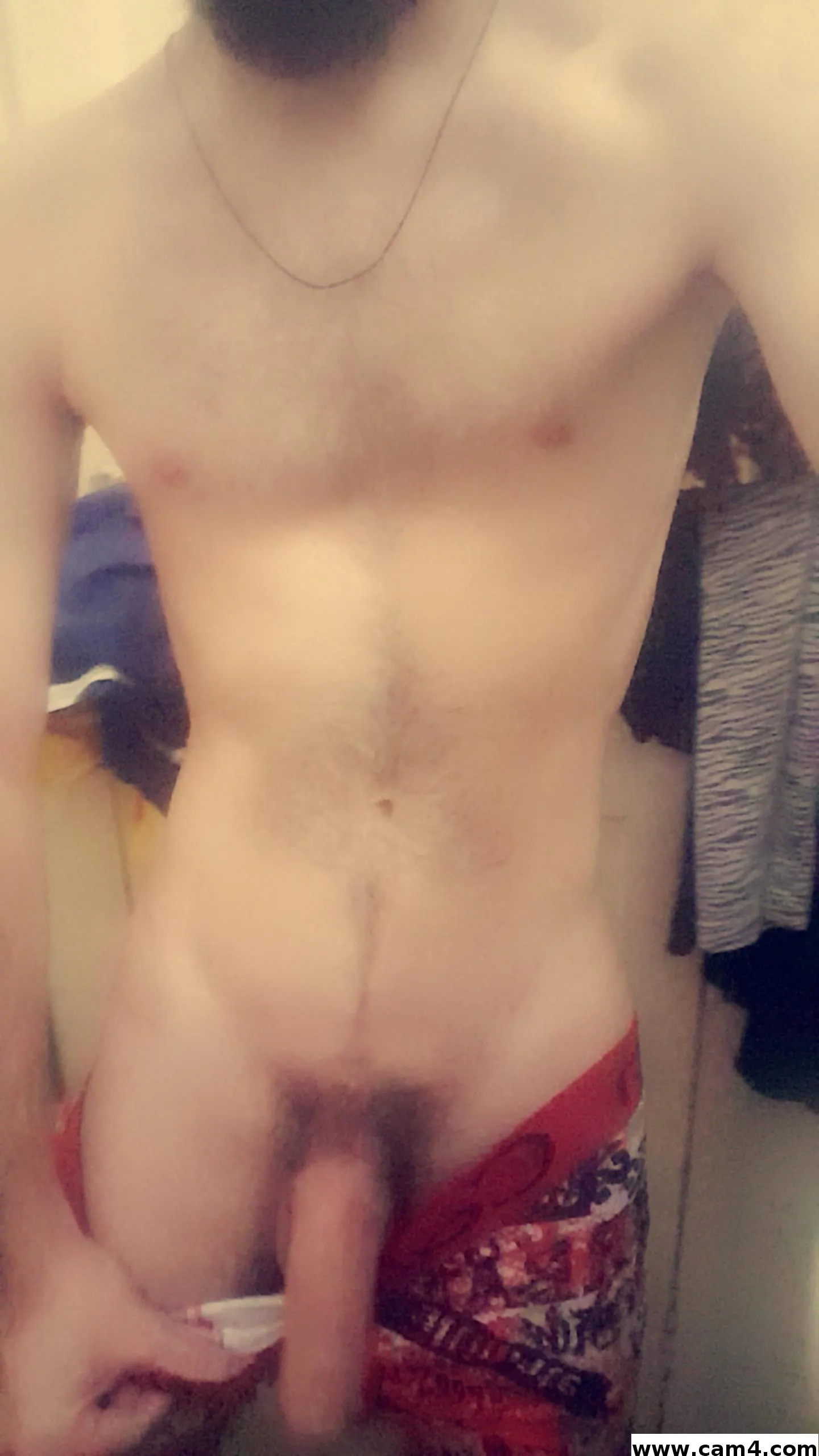 todibone image 0