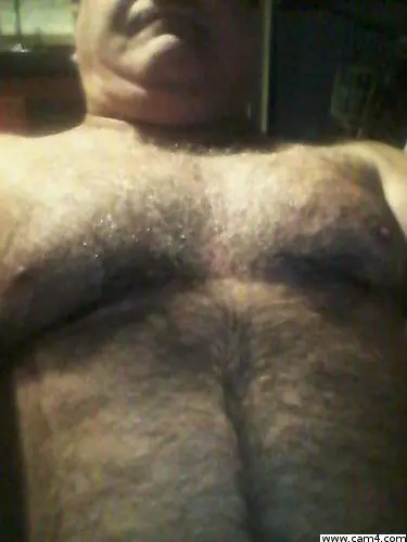 pato79 image 0