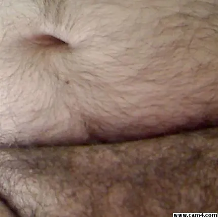 bearbarriga image 0
