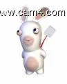 toto46464646 image 0