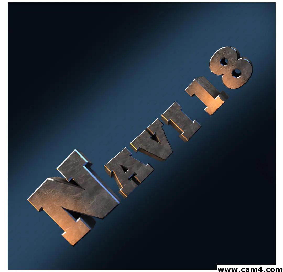 navi18_hot image 0