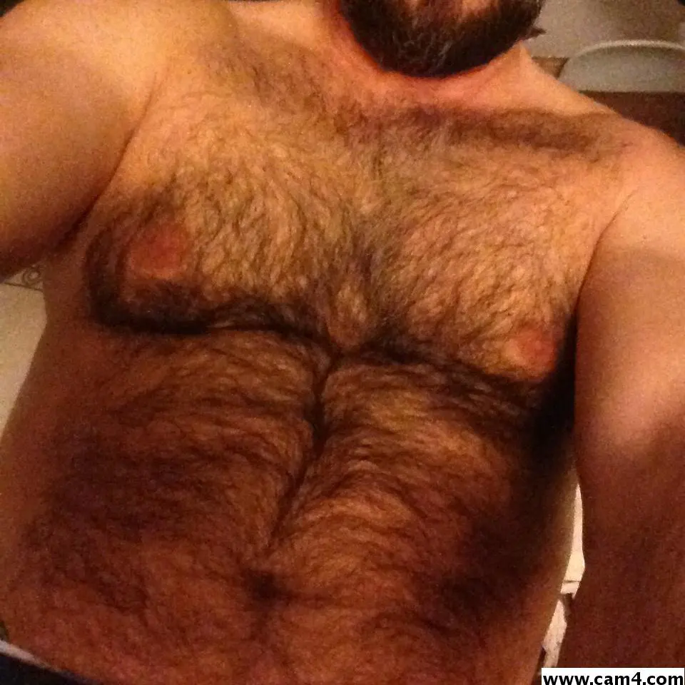 bear4furry image 0