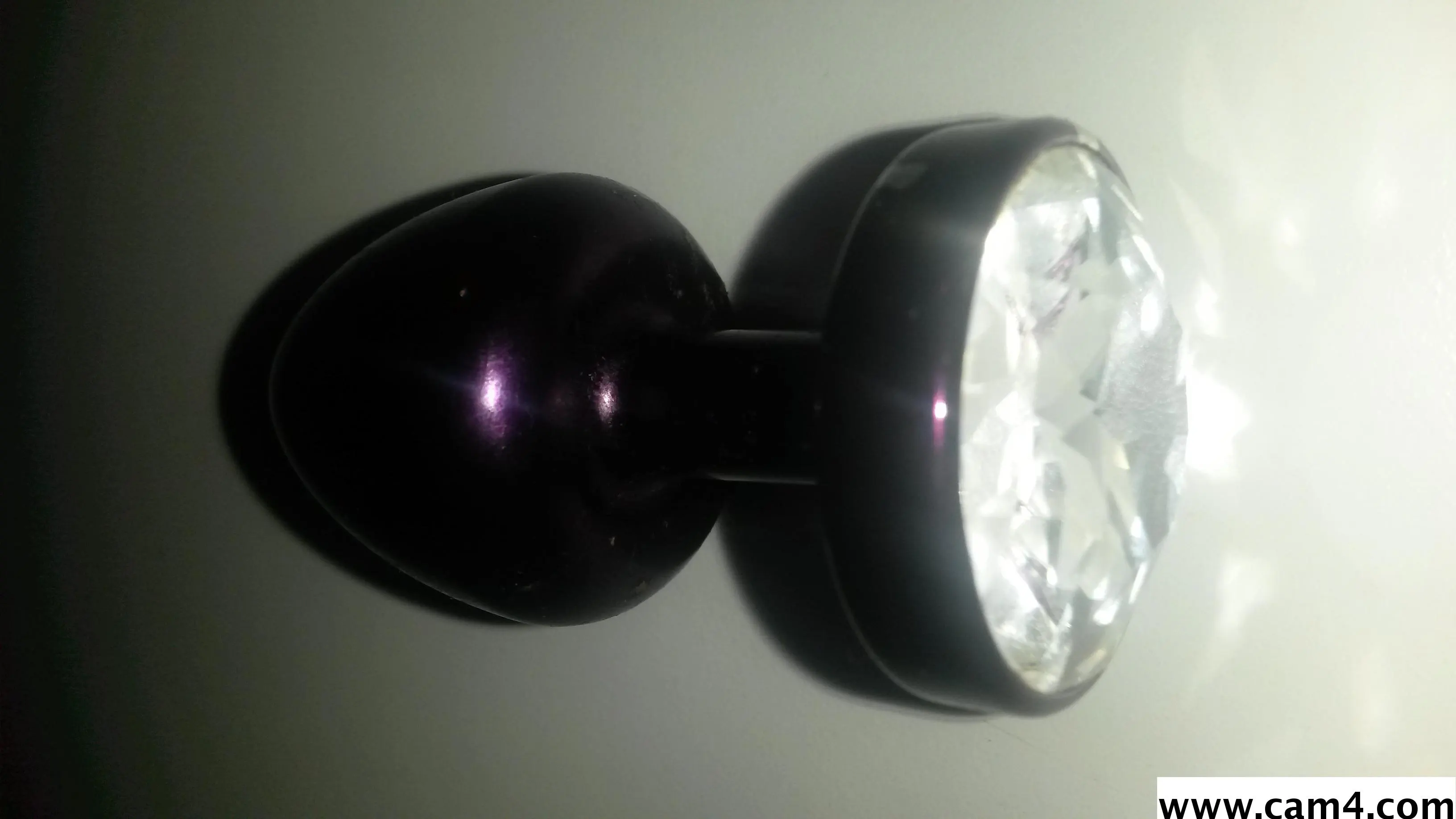 bizon30 image 0