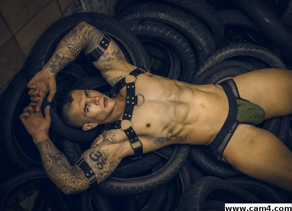 adam_diesel image 0