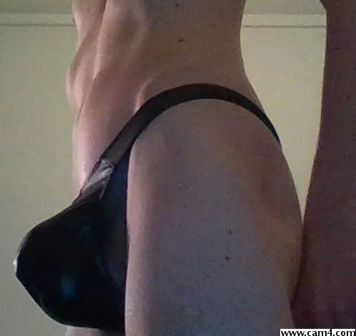 dandy_lion33 image 0