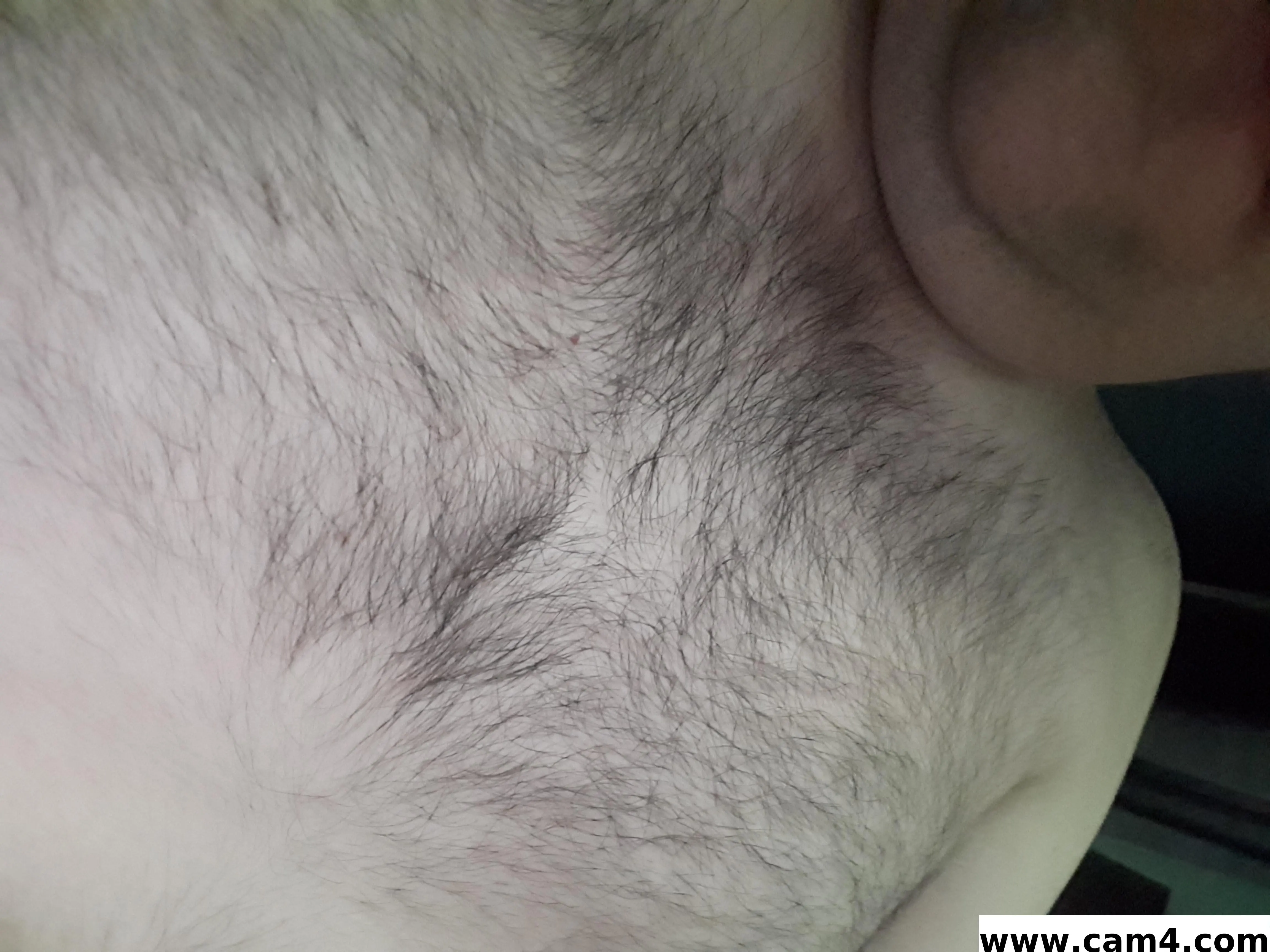 Killerbee83 image 0