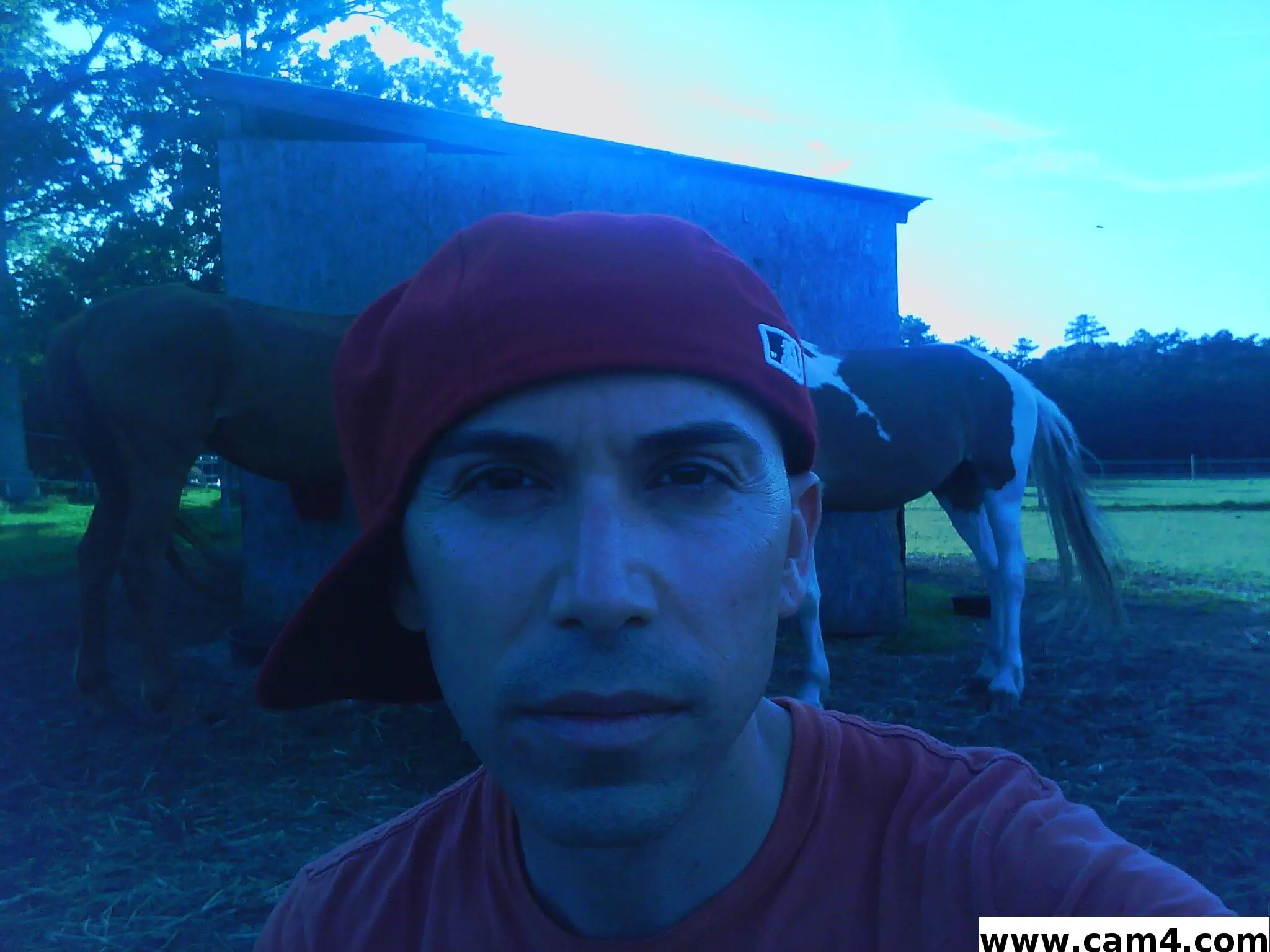farmerboy3 image 0