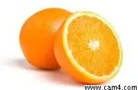 joetest image 0