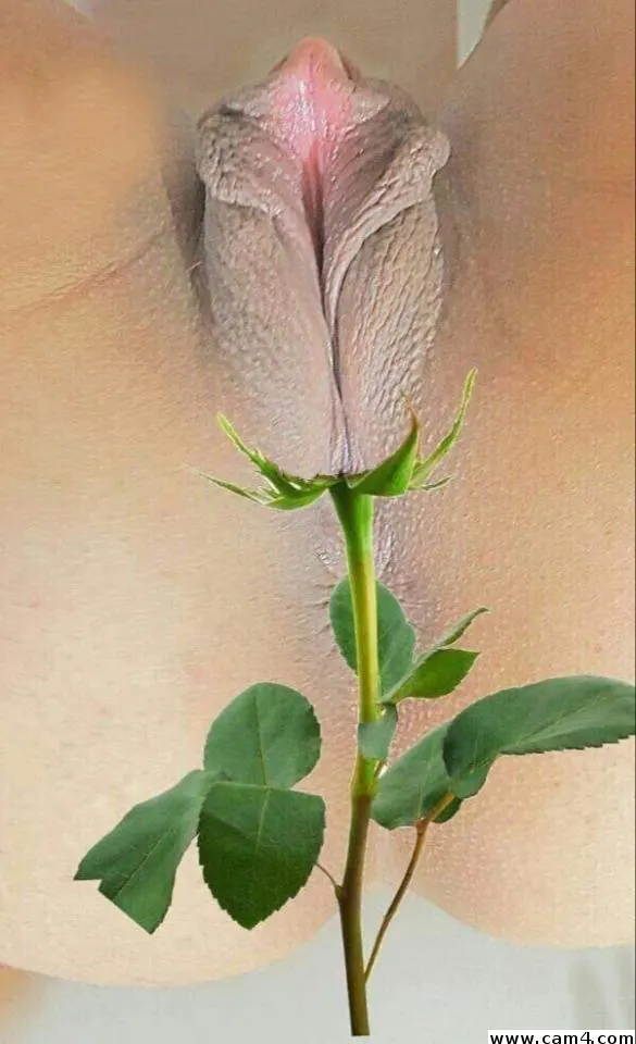 zeus69xxl image 0