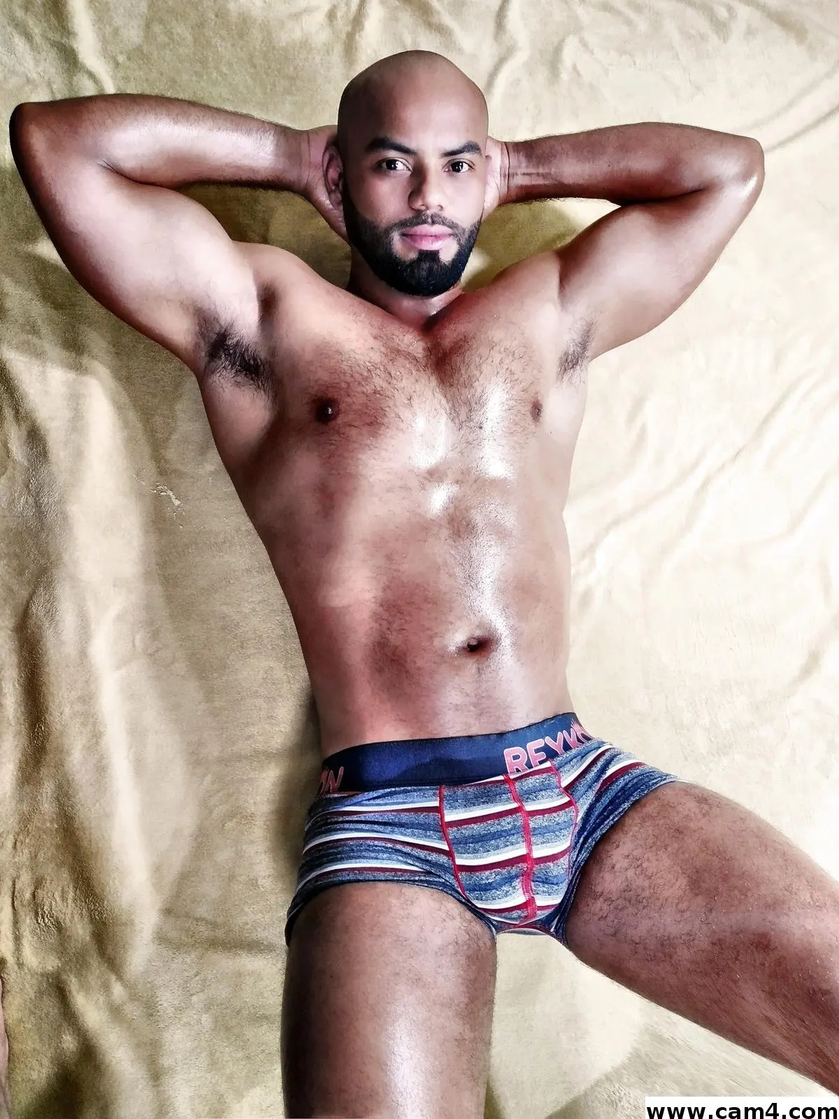 Colemanhercules image 0