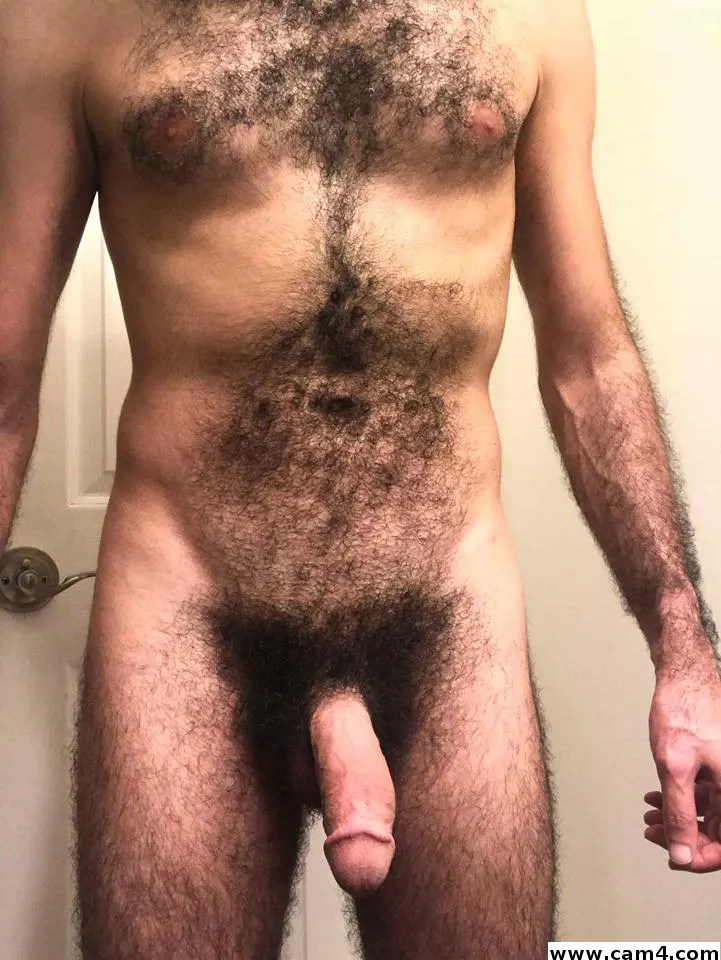 honest84 image 0