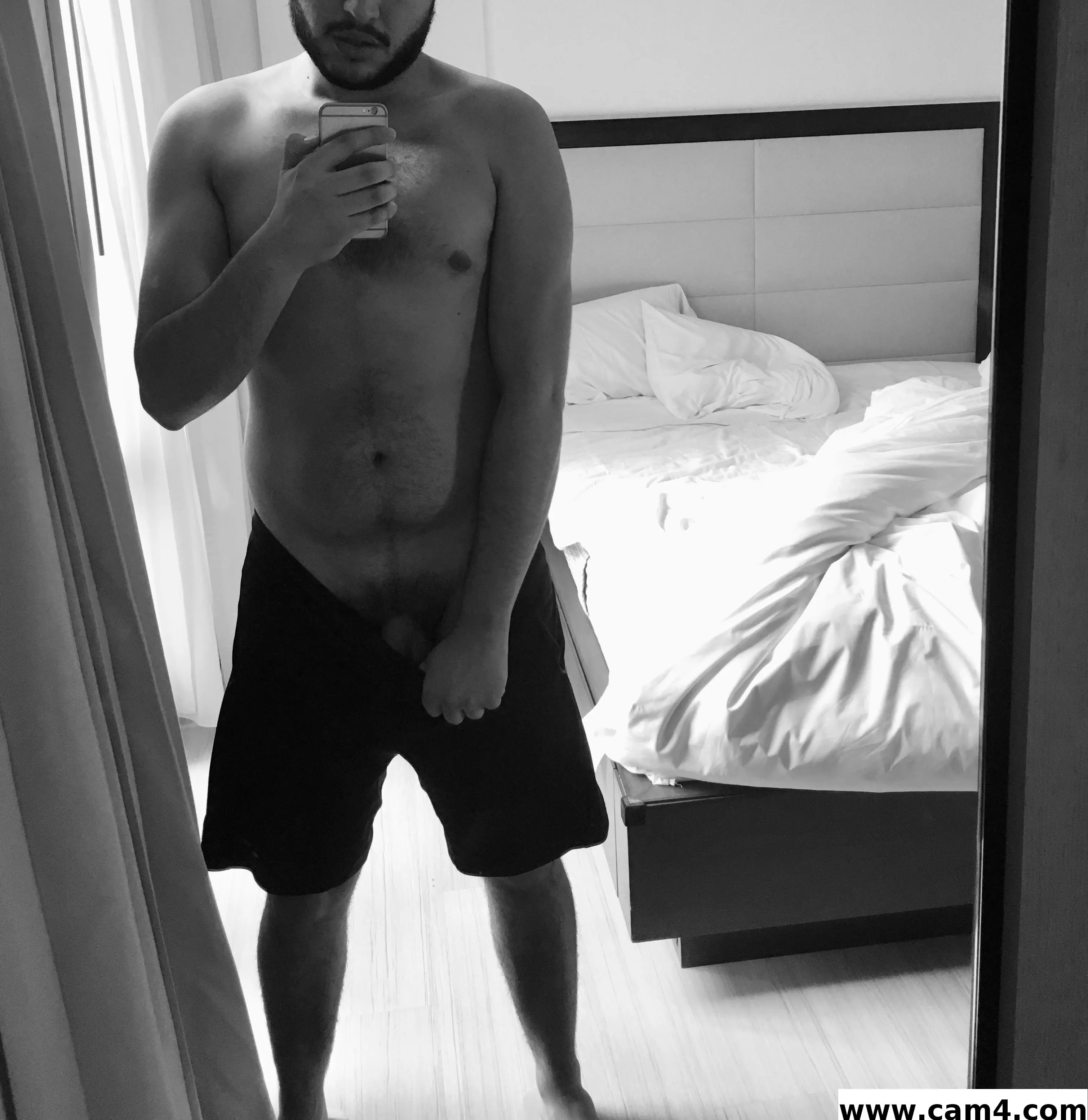 Bearsx image 0