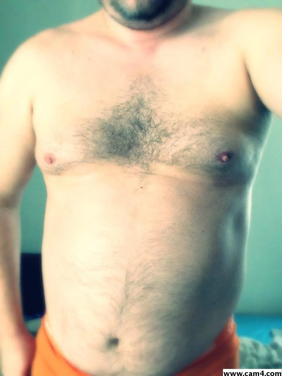 bigbybear image 0