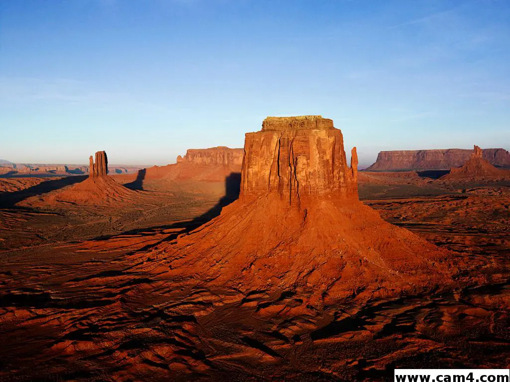 patisia image 0