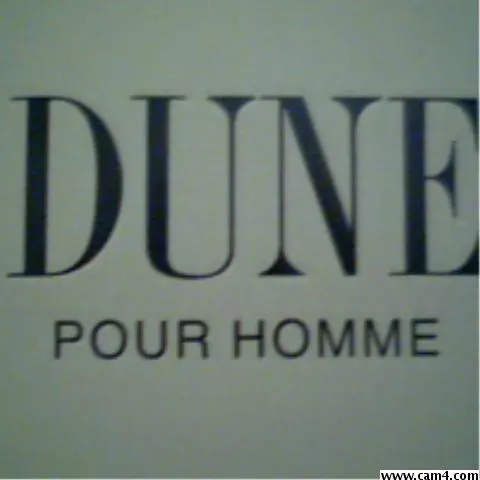 dunebear image 0