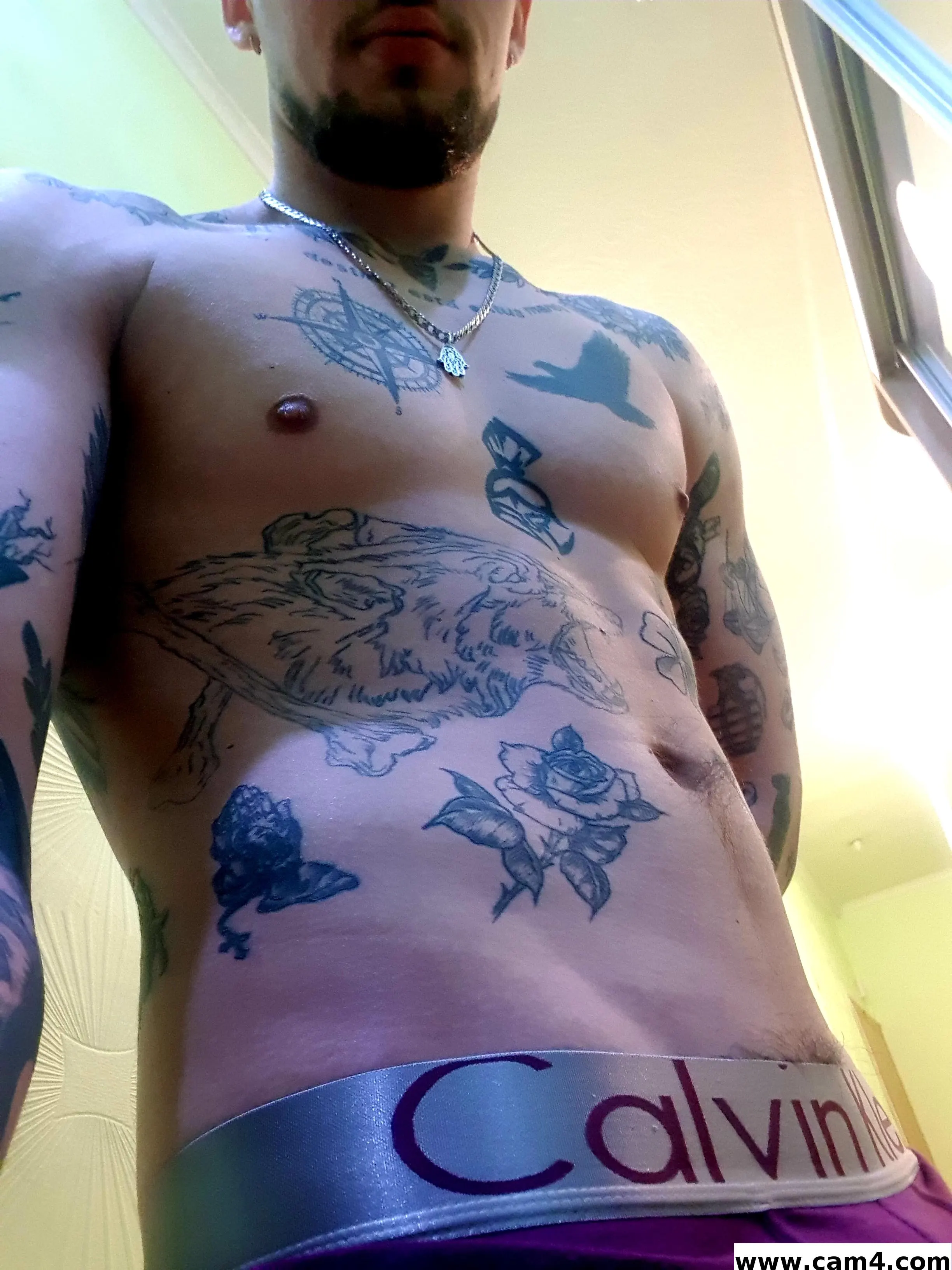 logan_bulge image 0