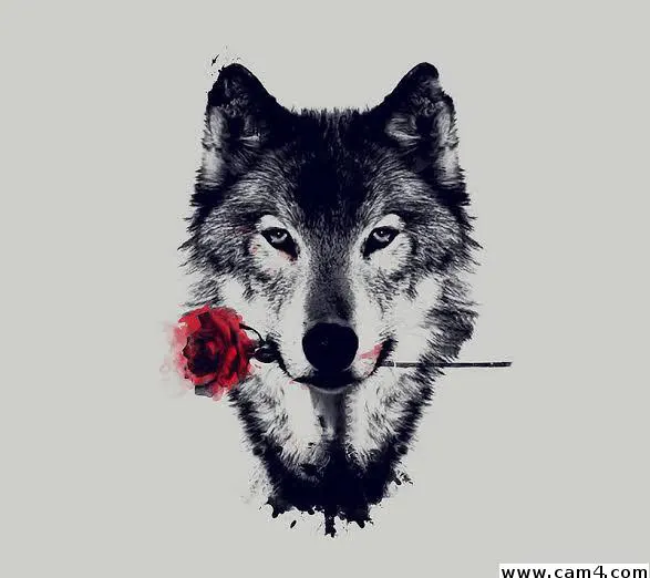 GUIx69 image 0