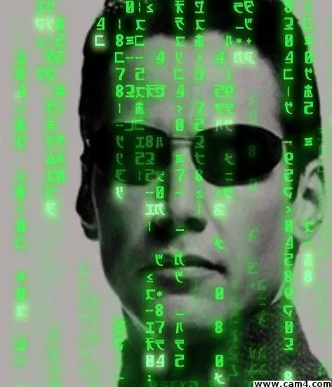 thisneo image 0