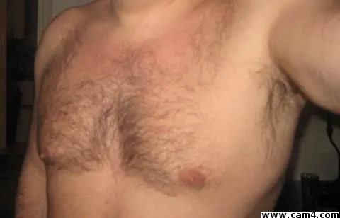 sexcats image 0