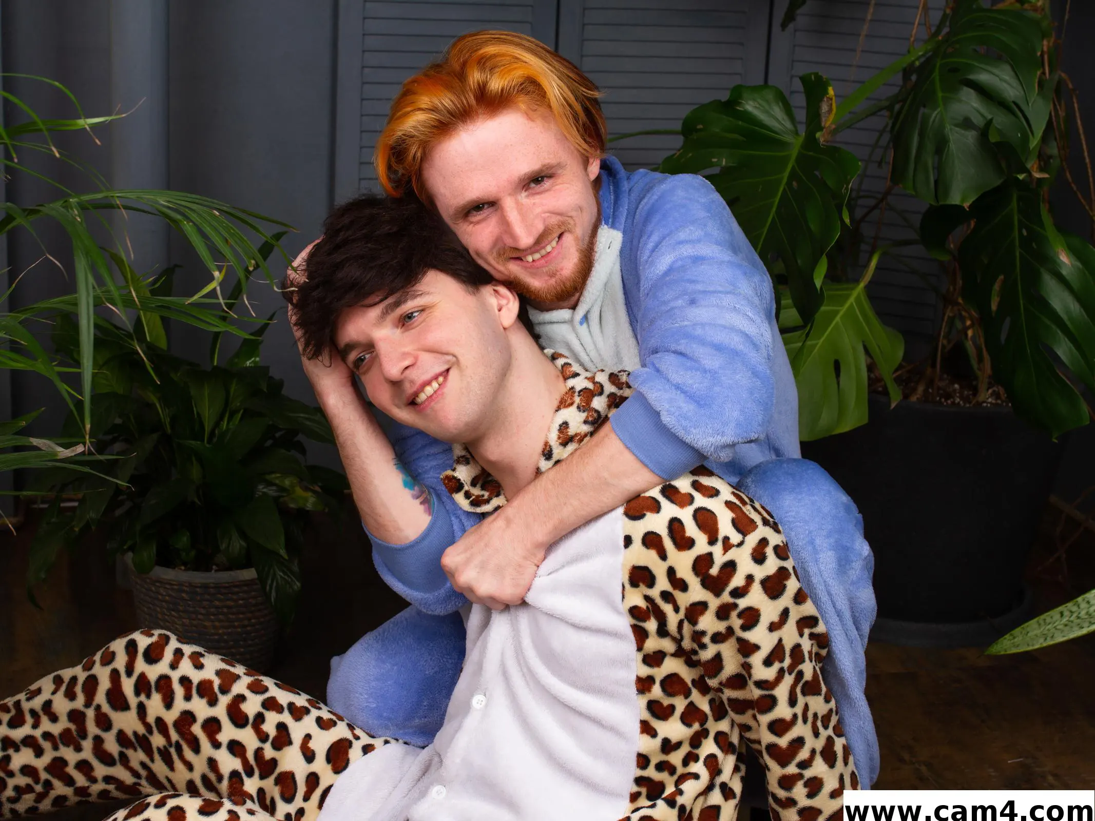 FoxAndLeon image 0