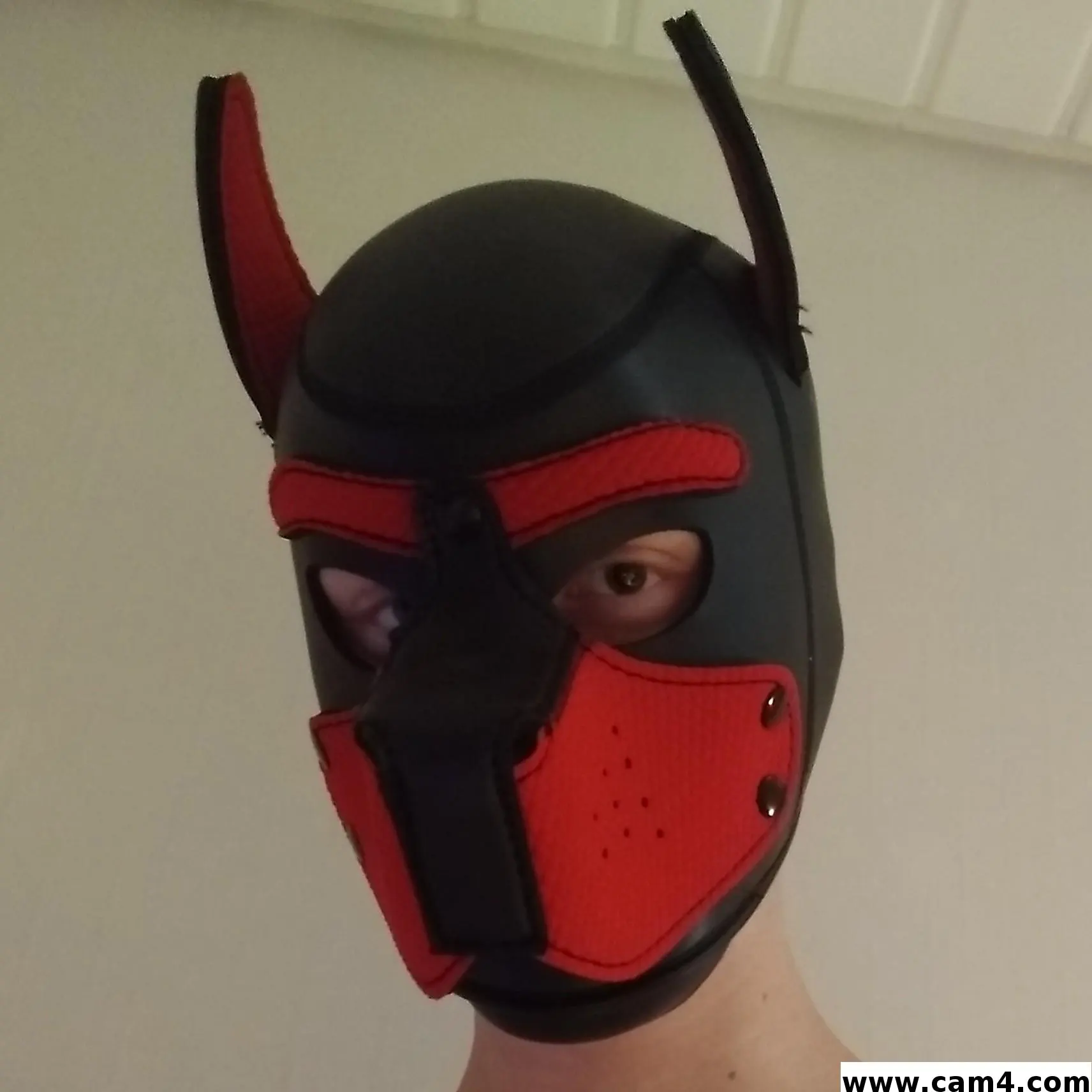 TeenSlut19 image 0