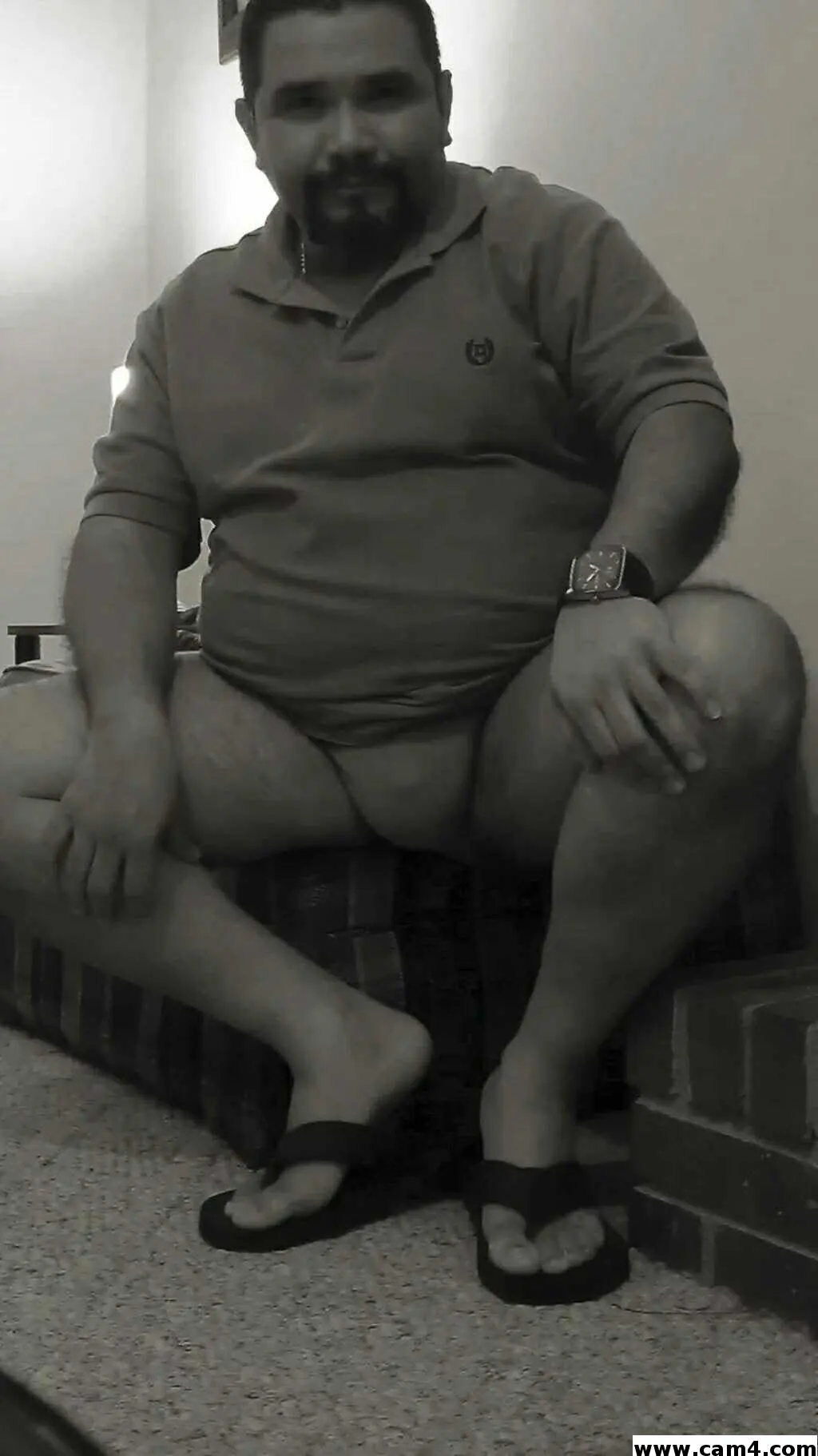Bearlatino1 image 0