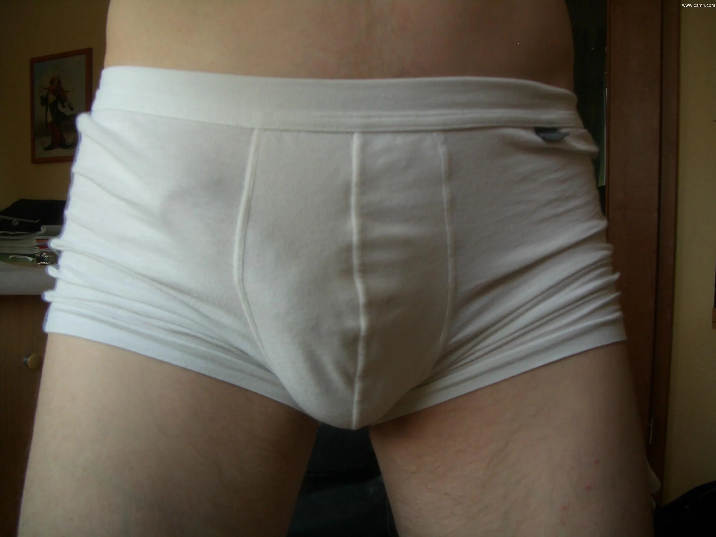 zini88 image 0